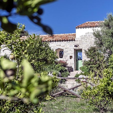 Gallicantu Stazzo Retreat Луогозанто Экстерьер фото