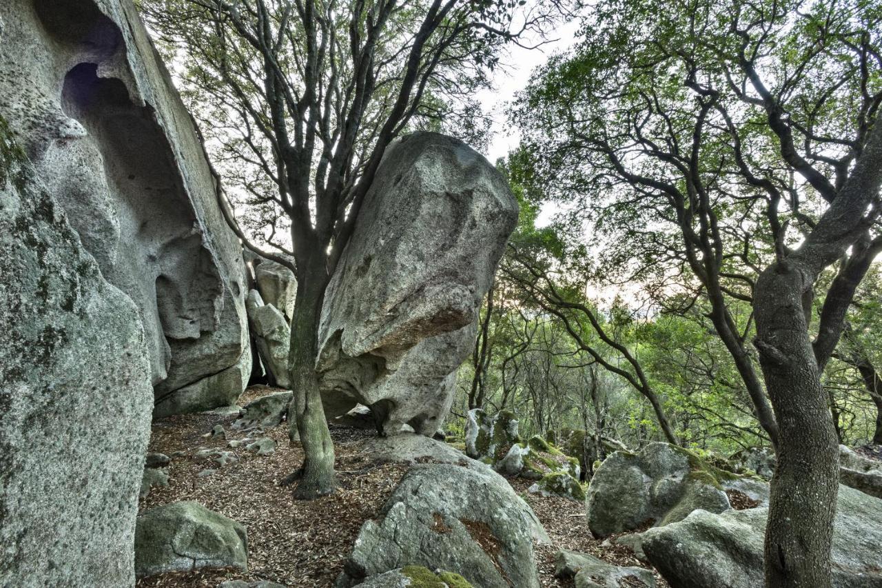 Gallicantu Stazzo Retreat Луогозанто Экстерьер фото