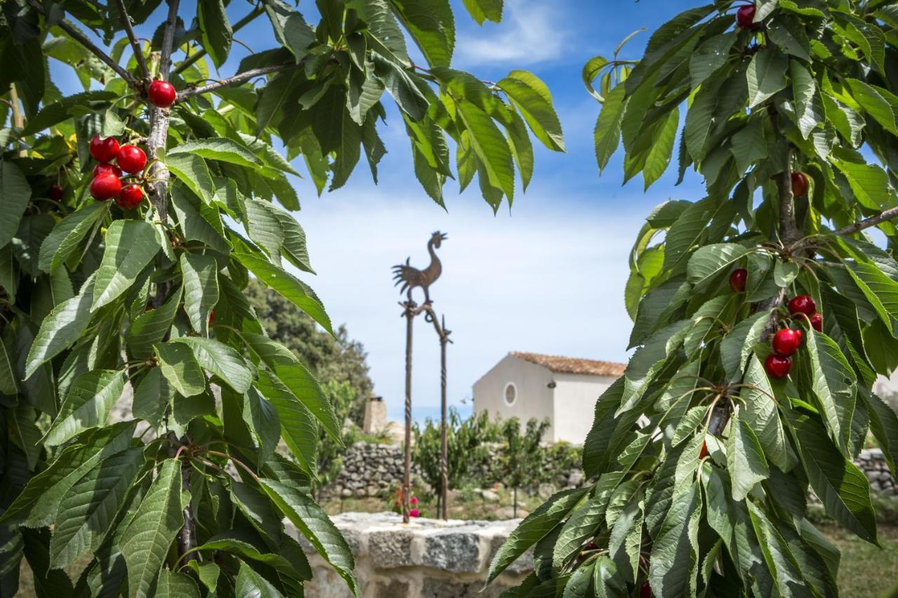 Gallicantu Stazzo Retreat Луогозанто Экстерьер фото